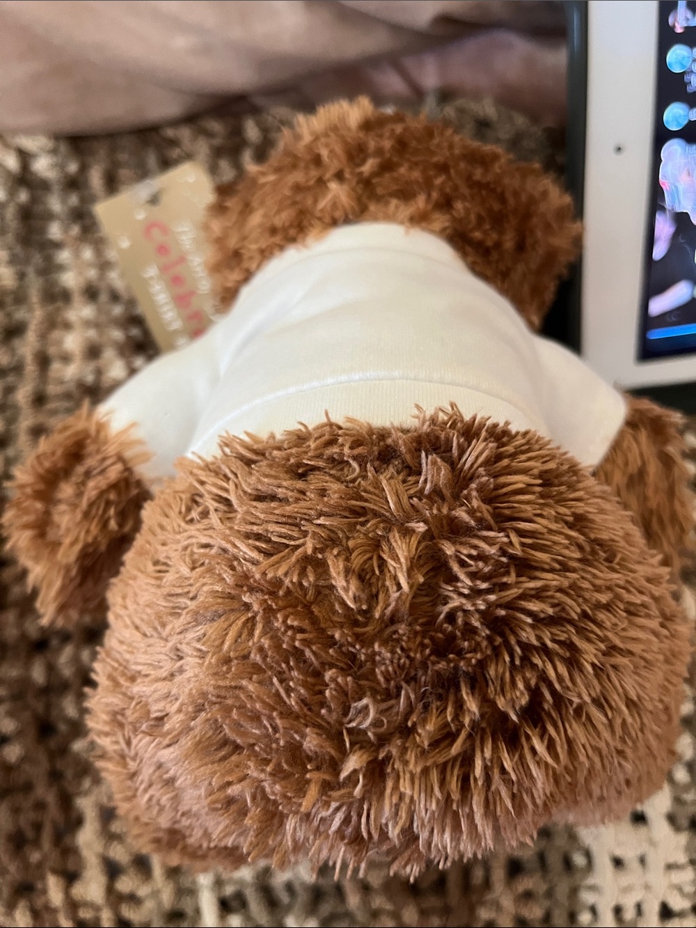 NWT Art of Disney USPS Brown Plush Bear w/White T-Shirt Featuring Princess Art - Picture 5 of 6